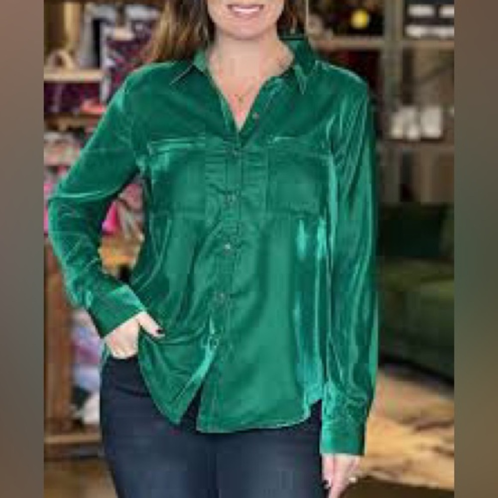 Ivy Jane Evergreen Velvet Button Down Top Blouse